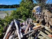 22nd May 2026 - Driftwood Eagle Nest with Baby