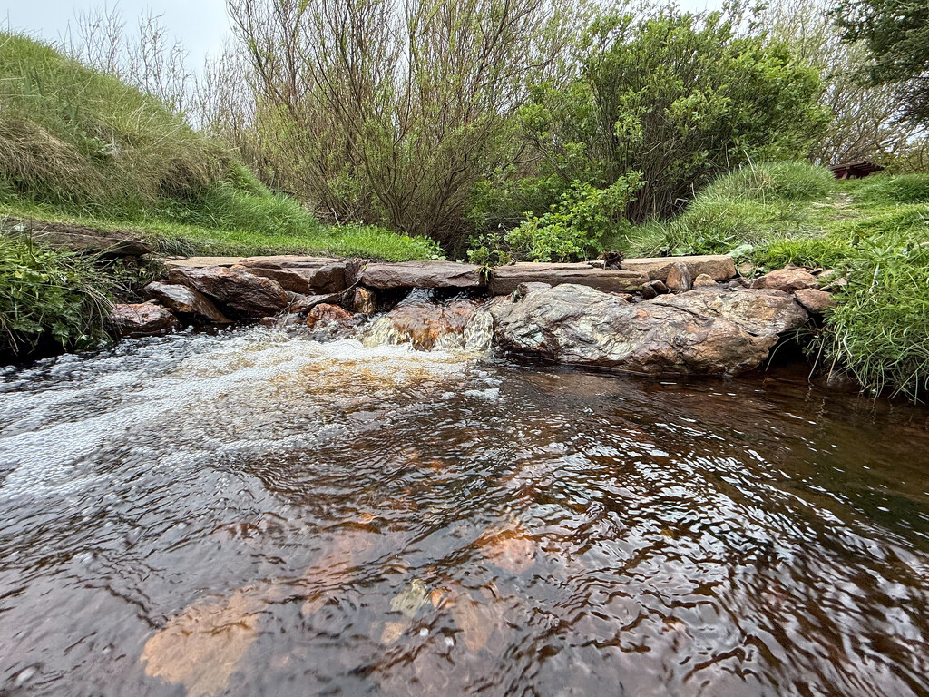 Swinister Burn by lifeat60degrees