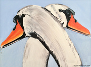 24th May 2026 - Two swans (acrylic painting)