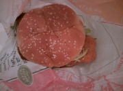 9th Feb 2011 - Fish Sandwich from Arby's 2.9.11