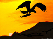 26th May 2026 - Eagle silhouette (acrylic painting)