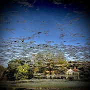 26th May 2026 - Only The Reflection