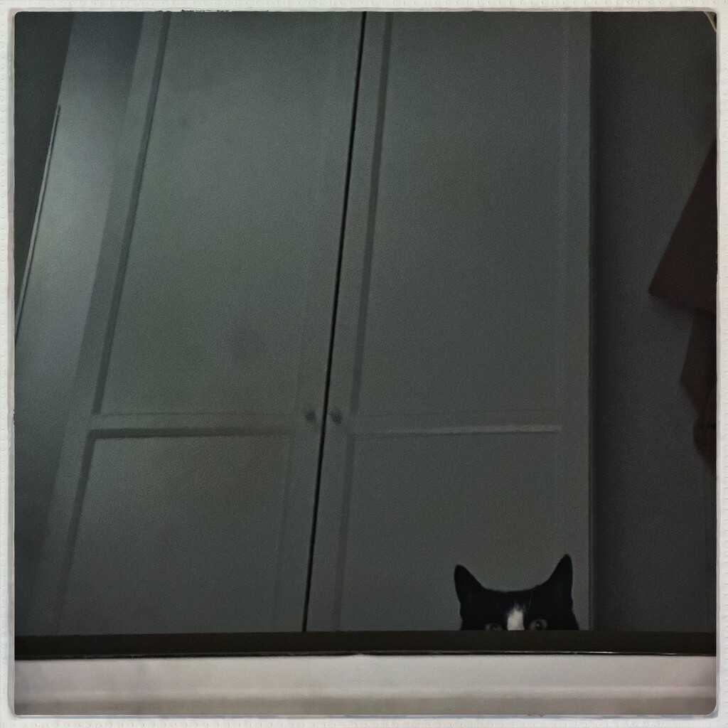 Hiding by mastermek
