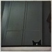 Hiding