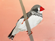 27th May 2026 - Zebra finch (acrylic painting)