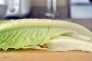 10th Feb 2011 - romaine lettuce....