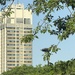 Concrete & Green 