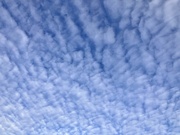 28th May 2026 - Mackerel sky