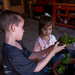 planting 