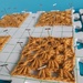Pins