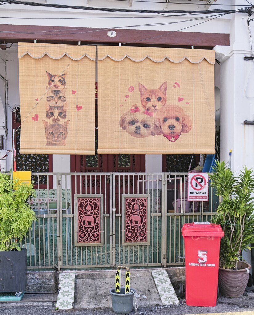 Pussy Cat Blinds, Lorong Seck Chuan. by ianjb21