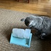 Puzzle blue