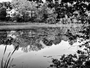 29th May 2026 - Time To Reflect