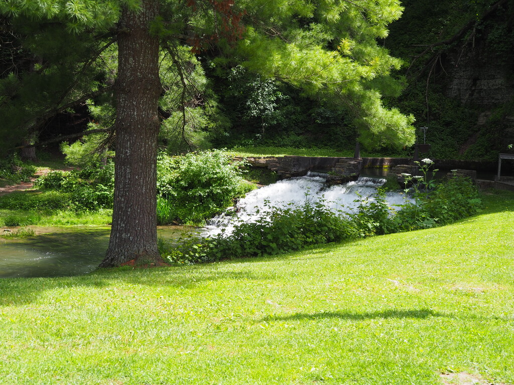Trout hatchery by vlc