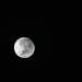 Morning Moon