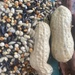 Half Birdseed, Half Peanuts
