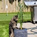 Stealth Mode