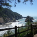 DSC00511