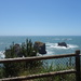DSC00513