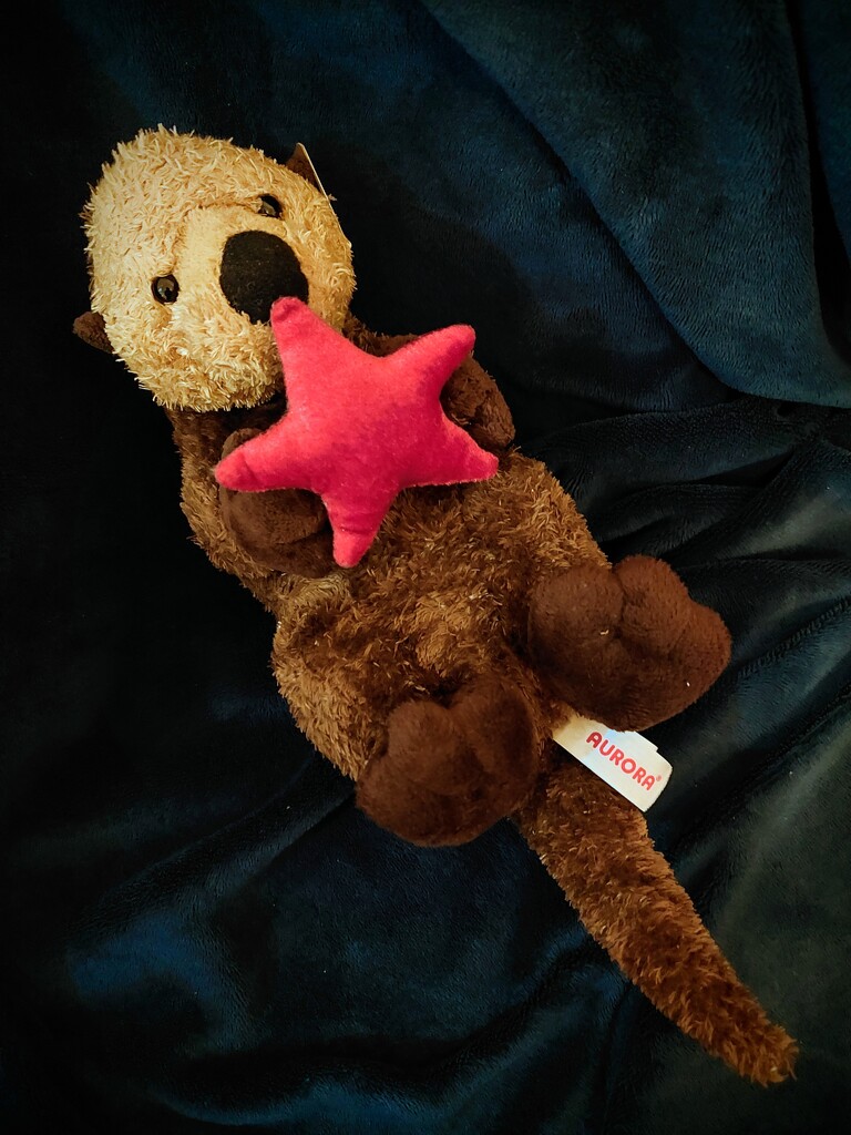 An Otterly Adorable Gift by princessicajessica