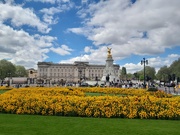 20th Apr 2026 - 