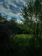 18th May 2026 - 