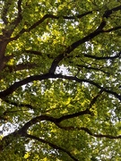 27th May 2026 - 