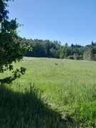 28th May 2026 - 