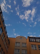 17th Apr 2026 - 