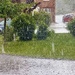 Summer - apparently!