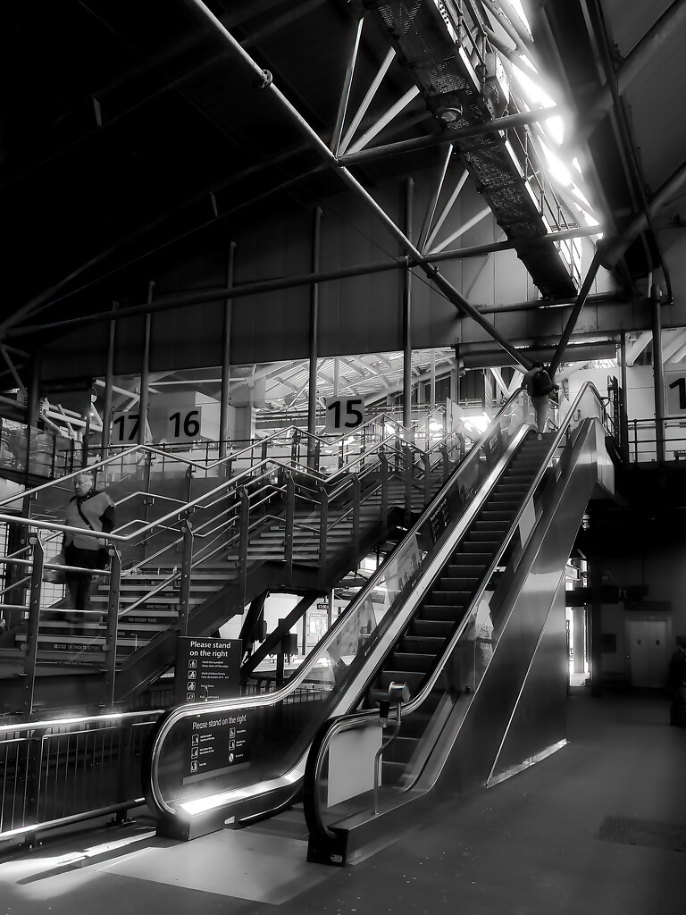 Platform 14 escalator.... by neil_ge