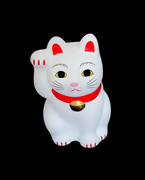 2nd Jun 2026 - Lucky cat focus stacking 