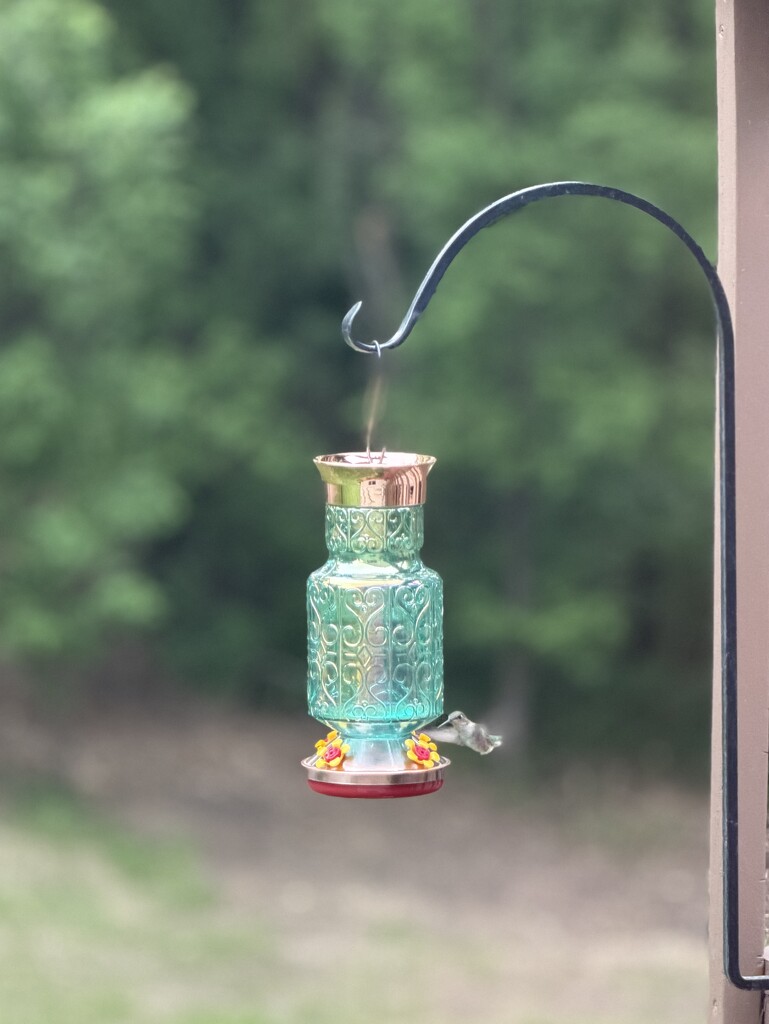 A Sip of Summer by photoqueen
