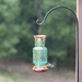 A Sip of Summer