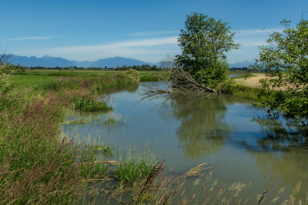 Westham Creek by cdcook48