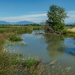 Westham Creek