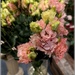 Lisianthus