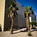 Theater palms