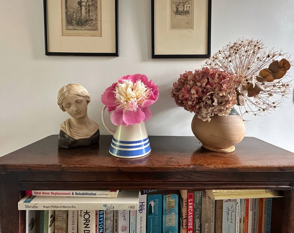 Home grown Peony by happypat