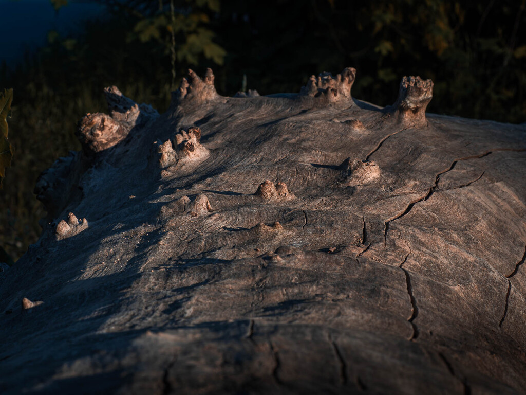 A bumpy road by haskar