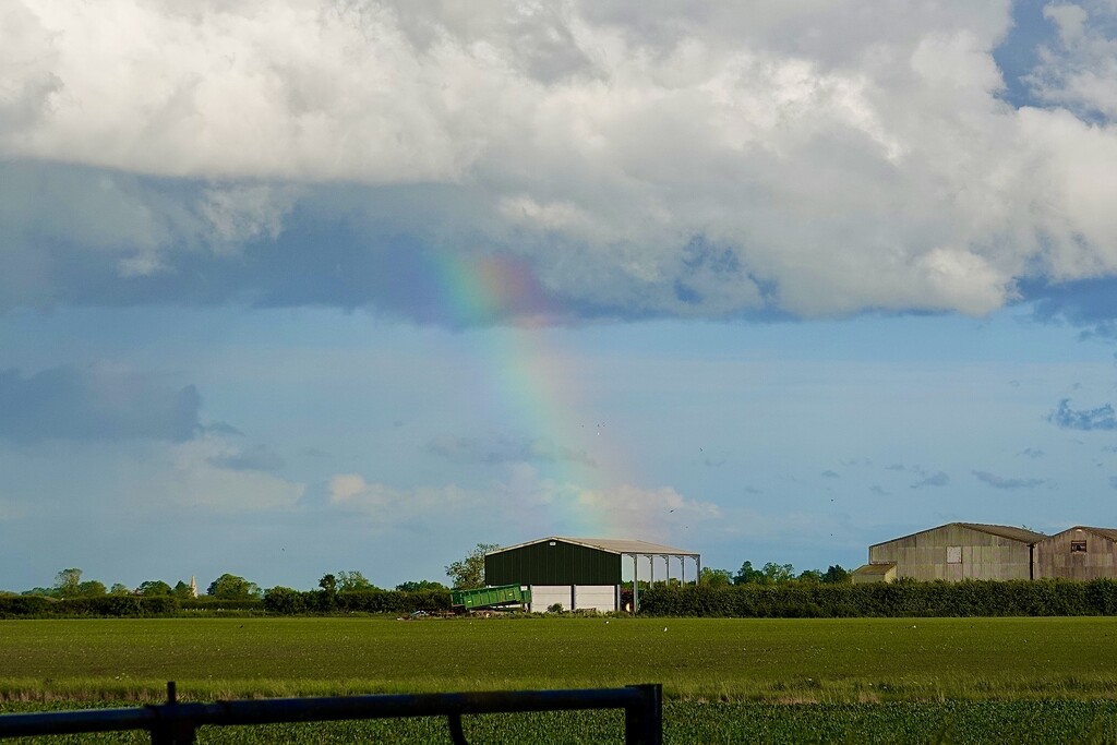 Rainbow by carole_sandford