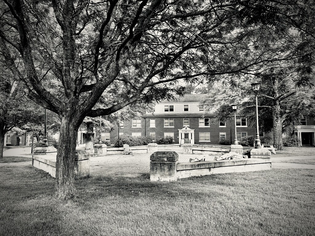 Among The Grove by rickaubin
