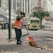 Speed Sweeper