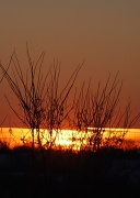 9th Feb 2011 - Sunset