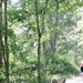 The Panther Lake Trailside Greeter