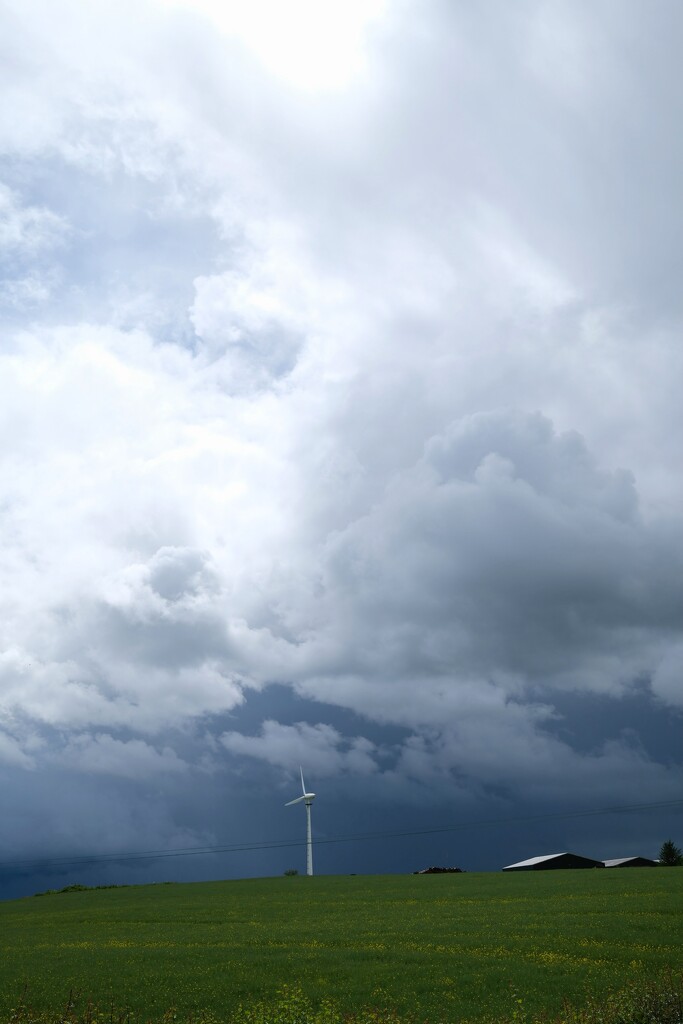 Stormy by ianh