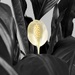 Stand Out