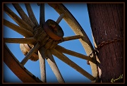 10th Feb 2011 - Spokes of Time