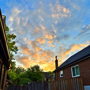 27th May 2026 - FINALLY! It Stopped Raining
