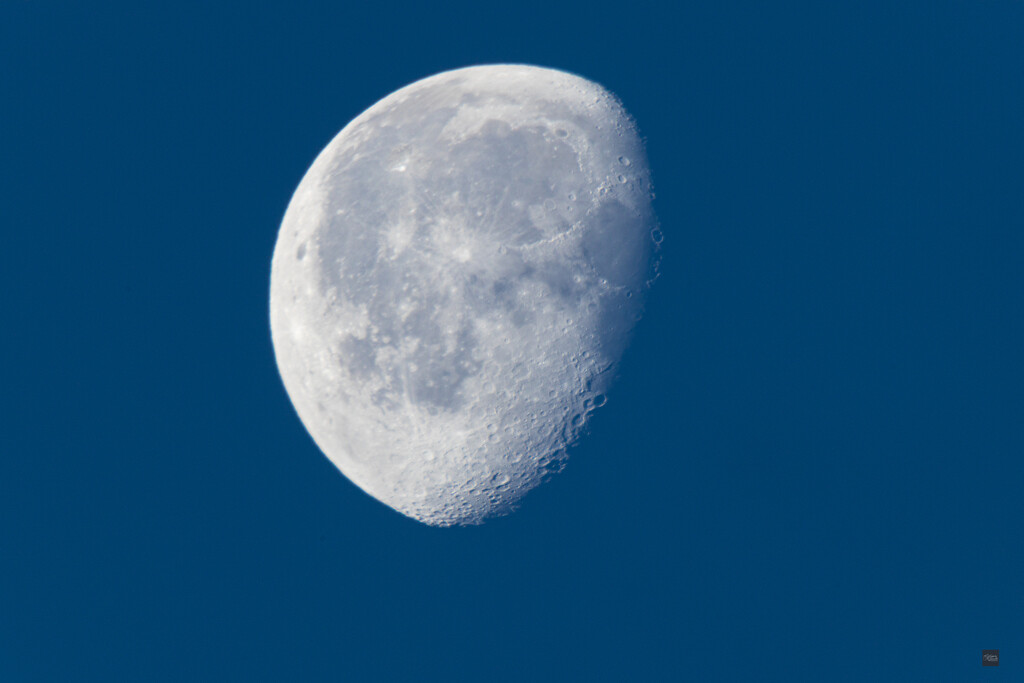 Blue Moon Remniants_2026_06_05_IMGL4557 (14) by toddg